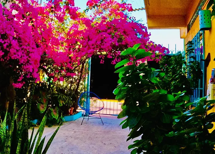 Apartamento Sunset On Playa La Madera: 360 Degree Views! Zihuatanejo